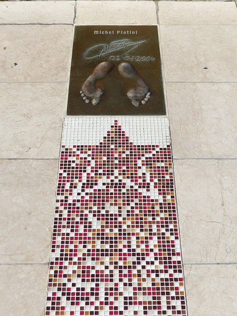 年轻选手的 年轻选手的