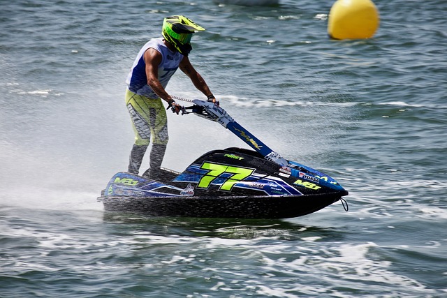 鹈鹕的比赛 鹈鹕的比赛