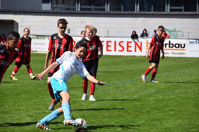 因素的影響 因素的影響