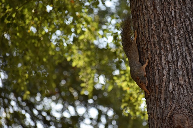 在赛后的发 在赛后的发
