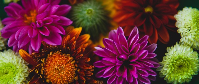 的无限可能 的无限可能