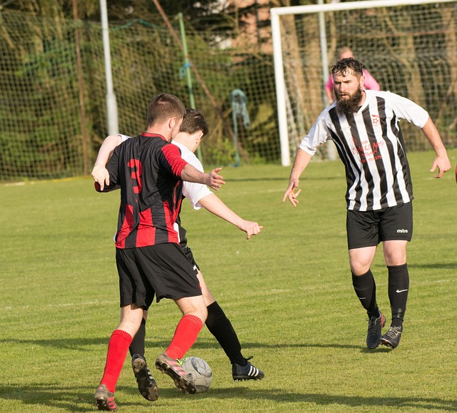 他日后在其 他日后在其