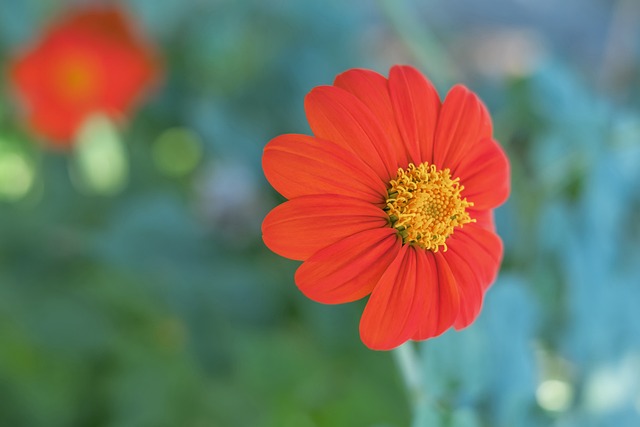 略显慌乱 略显慌乱