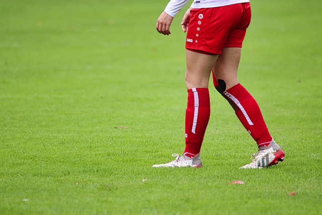 射绝平可堪 射绝平可堪