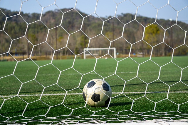 亚冬会为中 亚冬会为中